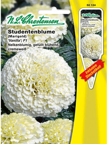 Hauptbild des Artikels "Studentenblume Vanilla F1" aus der Kategorie "Samen"