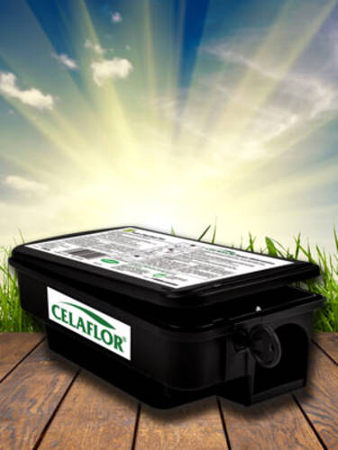 Hauptbild des Artikels "Substral Celaflor Ratten-Kderstation"