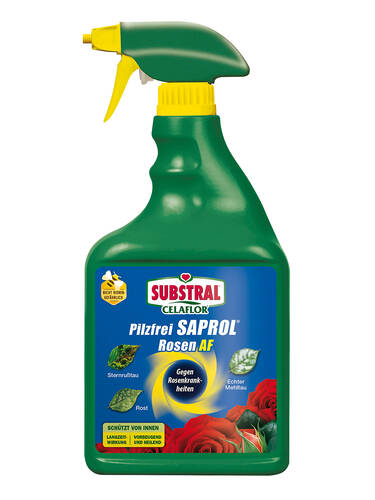 Hauptbild des Artikels "Substral Celaflor Rosen-Pilzfrei Saprol AF"