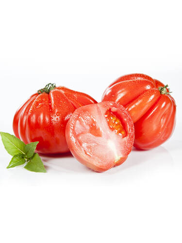 Hauptbild des Artikels "Tomate Ochsenherz" (Bildbeschreibung ist in Arbeit)