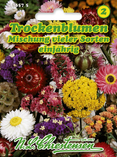 Samen - Trockenblumen-Mischung vieler Sorten