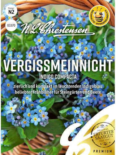 Vergissmeinnicht Indigo compacta