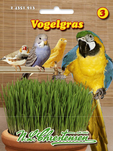 Vogelgras