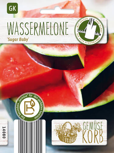 Hauptbild des Artikels "Wassermelone Sugar Baby" (Bildbeschreibung ist in Arbeit)