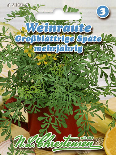 Hauptbild des Artikels "Weinraute, Groblttrige Spte" aus der Kategorie "Samen"