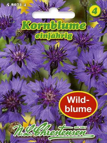 Hauptbild des Artikels "Wilde Kornblume" aus der Kategorie "Samen Wildblumen"