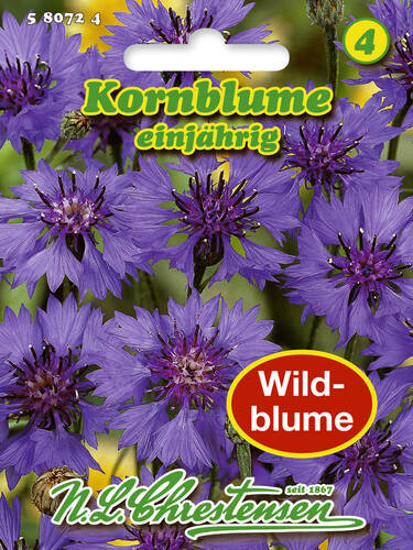 Wilde Kornblume