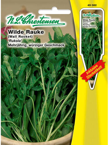 Hauptbild des Artikels "Wilde Rauke" aus der Kategorie "Samen"