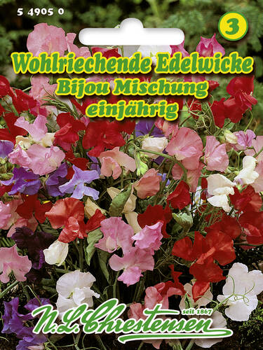 Samen - Wohlriechende Edelwicke Bijou-Mischung