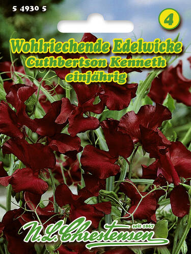 Wohlriechende Edelwicke Cuthbertson Kenneth