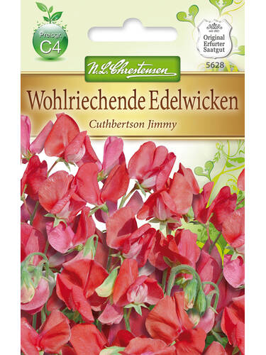 Samen - Wohlriechende Edelwicken Cuthbertson Jimmy