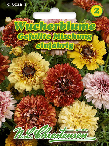 Hauptbild des Artikels "Wucherblume Gefllte Mischung" aus der Kategorie "Samen"