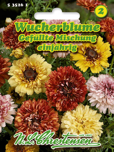 Samen - Wucherblume Gefllte Mischung