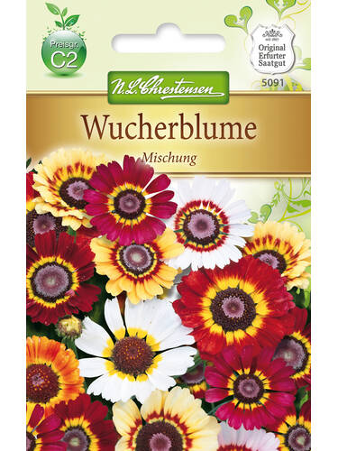 5352290 Wucherblume Frohe Mischung Chrysanthum   Blumen Samen Mix 