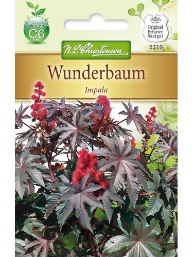 Hauptbild des Artikels "Wunderbaum Impala" aus der Kategorie "Samen"