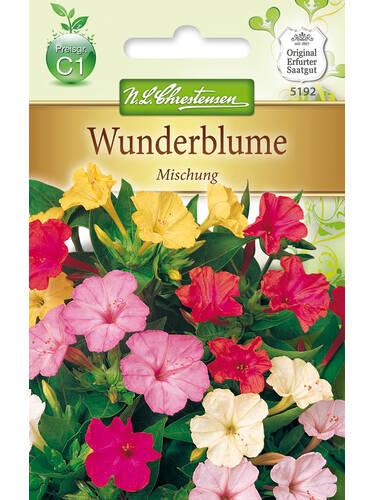 Hauptbild des Artikels "Wunderblume Mischung"
