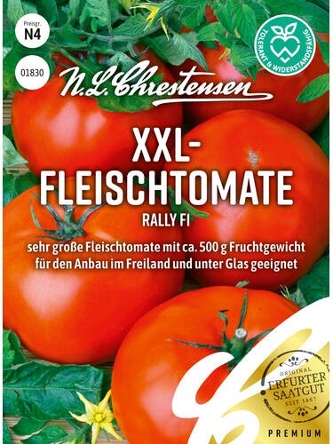 XXL-Fleischtomate Rally, F1