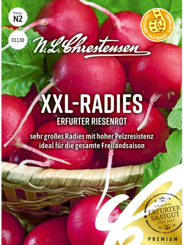 XXL - Radies Erfurter Riesenrot