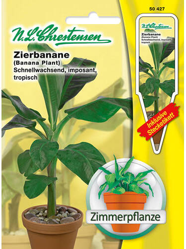 Hauptbild des Artikels "Zierbanane" aus der Kategorie "Samen"