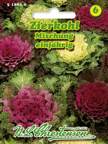 Hauptbild des Artikels "Zierkohl Mischung" aus der Kategorie "Samen"