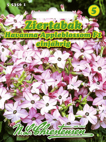 Hauptbild des Artikels "Ziertabak Havanna Appleblossom, F1" aus der Kategorie "Samen"