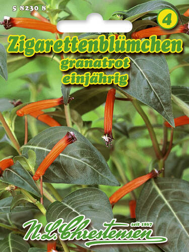 Zigarettenblmchen granatrot