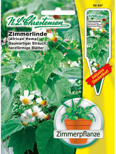 Hauptbild des Artikels "Zimmerlinde" aus der Kategorie "Samen"