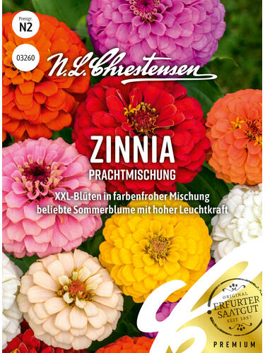 Zinnia Prachtmischung