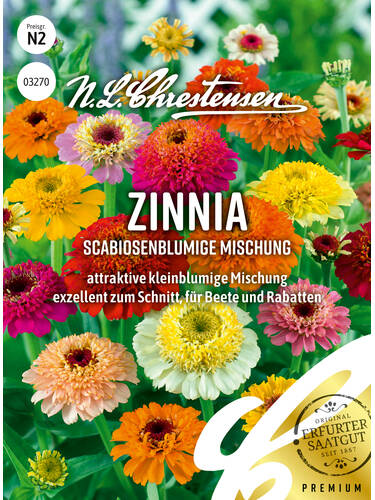 Zinnia Scabiosenblumige Mischung