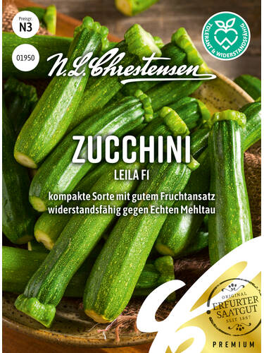 Samen - Zucchini Leila F1