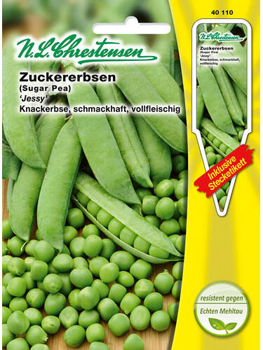 Hauptbild des Artikels "Zuckererbse Jessy" (Bildbeschreibung ist in Arbeit)
