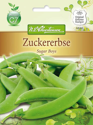 Hauptbild des Artikels "Zuckererbse Sugar Boys" (Bildbeschreibung ist in Arbeit)