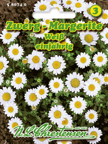 Hauptbild des Artikels "Zwerg-Margerite" aus der Kategorie "Samen"