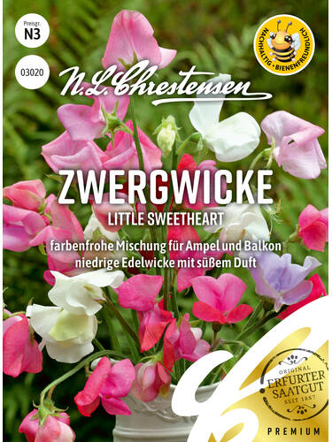 Samen - Zwergwicke Little Sweetheart