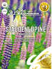 Samen -  Staudenlupine Rabatten-Mix