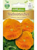   Stiefmtterchen Schweizer Riesen Orange