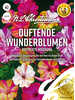 Samen -  Wunderblume gestreifte Mischung