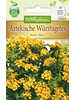 Samen - Aztekische Wrztagetes Sweet Mace