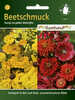 Samen - Beetschmuck Feurig rot-gelber Bltenflor