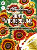 Bunte Wucherblume Flame Shades