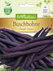 Buschbohne Purple Teepee