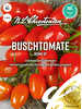 Tomatensamen - Buschtomate Roma VF