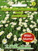 Samen Wildblumen - Einfaches Wiesen-Gänseblümchen Daisy