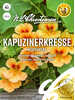 Kapuzinerkresse Peach Melba