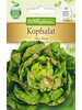 Kopfsalat May King (Maiknig)