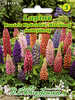 Samen - Lupine Russels Hybriden Mischung