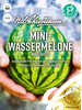 Samen - Mini-Wassermelone Mini love, F1