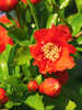 Miniaturbild Nr. 4 zum wechseln des gro�en Produktbildes auf das dritte zus�tzliche Bild
