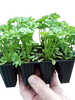Miniaturbild Nr. 2 zum wechseln des gro�en Produktbildes auf das erste zus�tzliche Bild