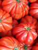 Gemsepflanzen - Tomate Ochsenherz